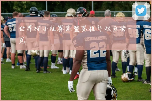 世界杯小组赛完整赛程与积分榜一览