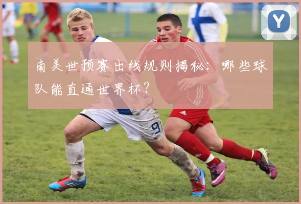 南美世预赛出线规则揭秘：哪些球队能直通世界杯？