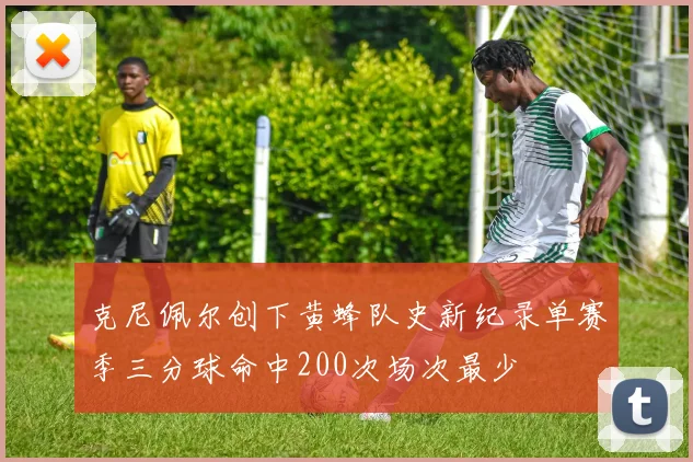 克尼佩尔创下黄蜂队史新纪录单赛季三分球命中200次场次最少