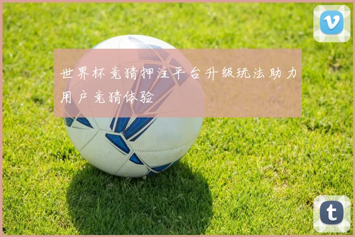 世界杯竞猜押注平台升级玩法助力用户竞猜体验