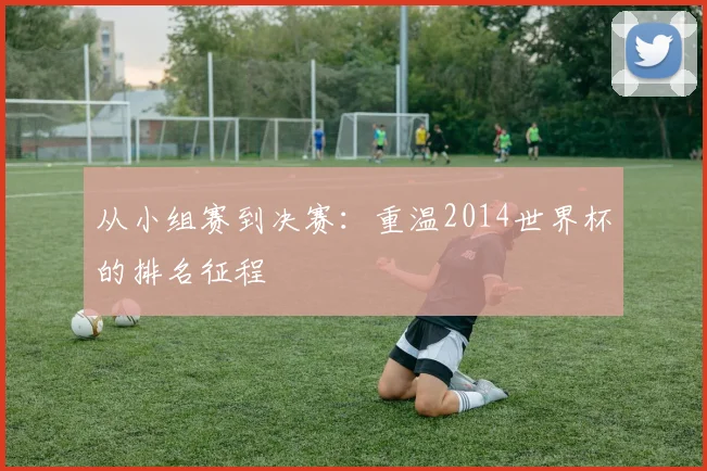 从小组赛到决赛：重温2014世界杯的排名征程