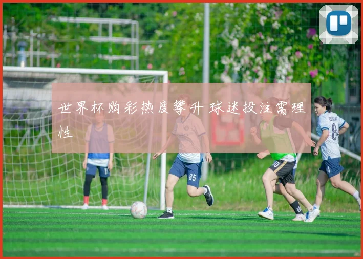 世界杯购彩热度攀升 球迷投注需理性