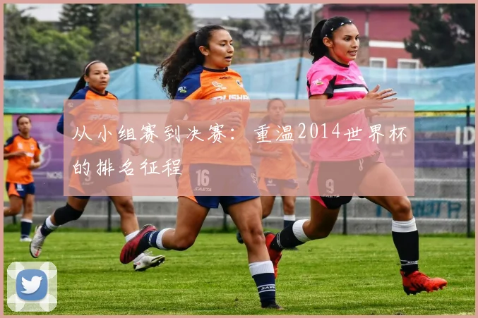 从小组赛到决赛：重温2014世界杯的排名征程