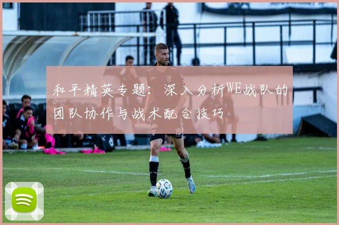 和平精英专题：深入分析WE战队的团队协作与战术配合技巧