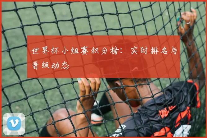 世界杯小组赛积分榜：实时排名与晋级动态
