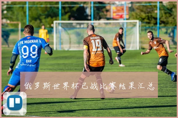 俄罗斯世界杯已战比赛结果汇总