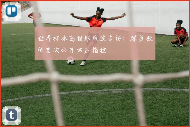 世界杯冰岛假球风波专访：球员教练首次公开回应指控