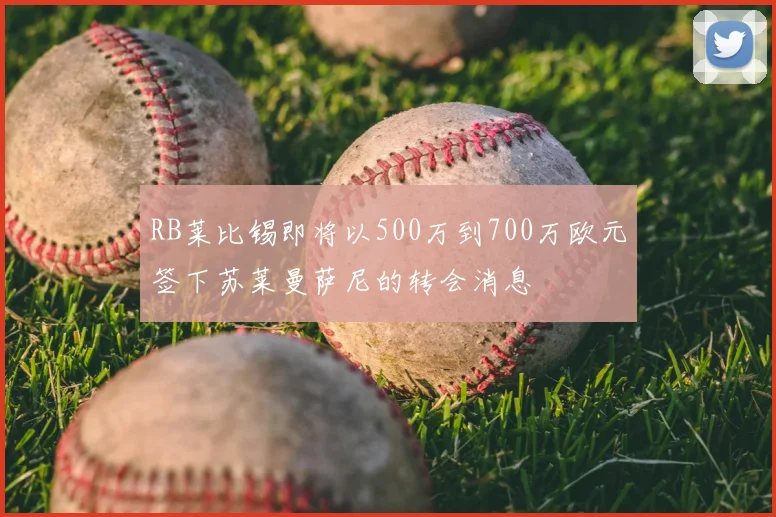 RB莱比锡即将以500万到700万欧元签下苏莱曼萨尼的转会消息