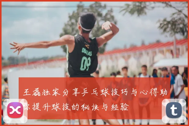 王磊独家分享乒乓球技巧与心得助你提升球技的秘诀与经验